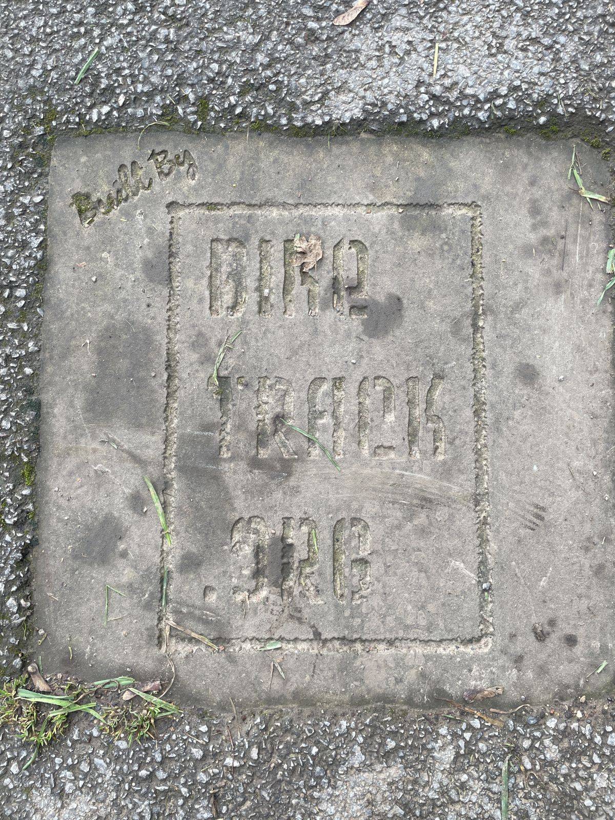 Charnock / Bowman Drive Pump Track community image