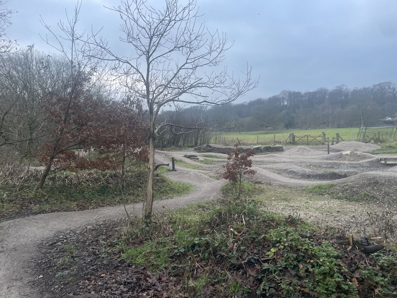 Brabyns BMX Track community image