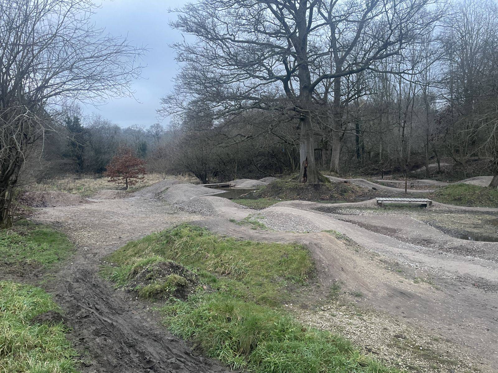Brabyns BMX Track community image