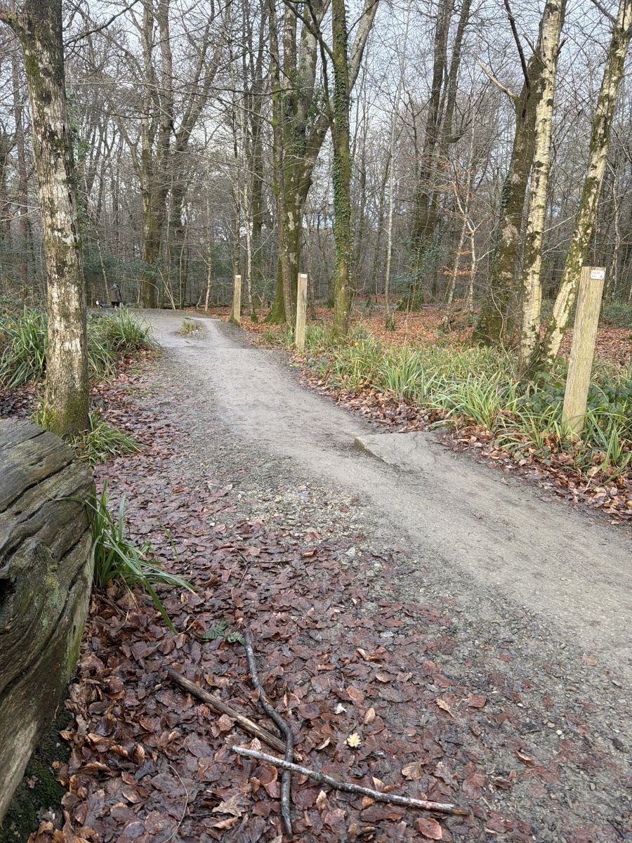 Zoe latest contribution